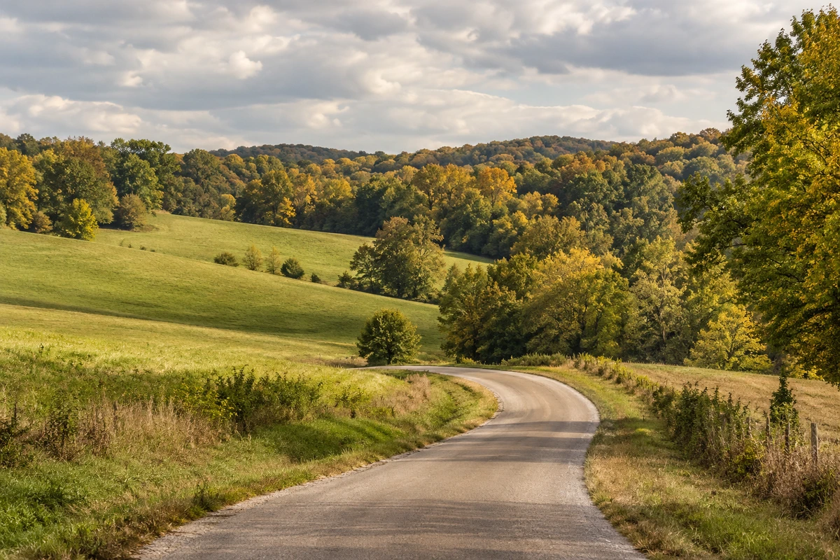 West Tennessee landscape