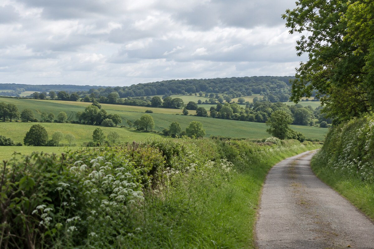 Northern French countryside
