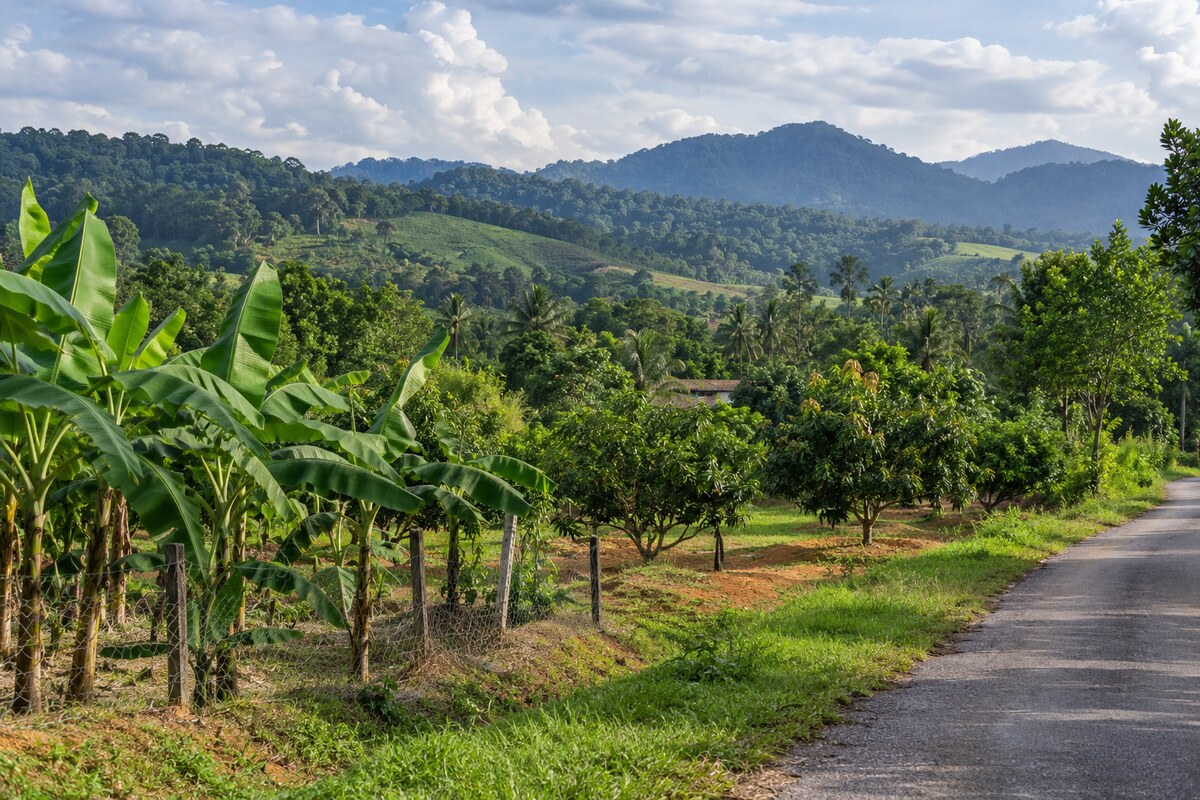 Negeri Sembilan countryside near Seremban Negeri Sembilan countryside near Seremban