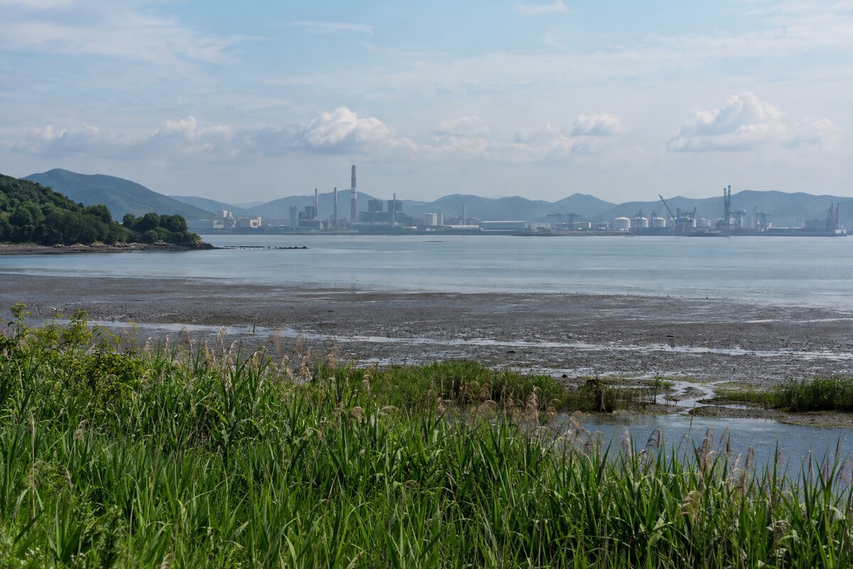 South Korean industrial coastal landscape