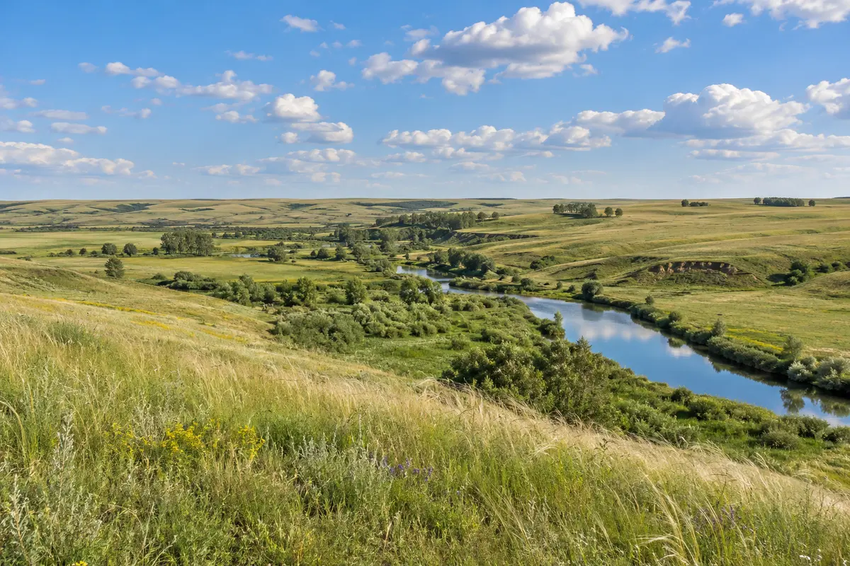 Оренбургская степь