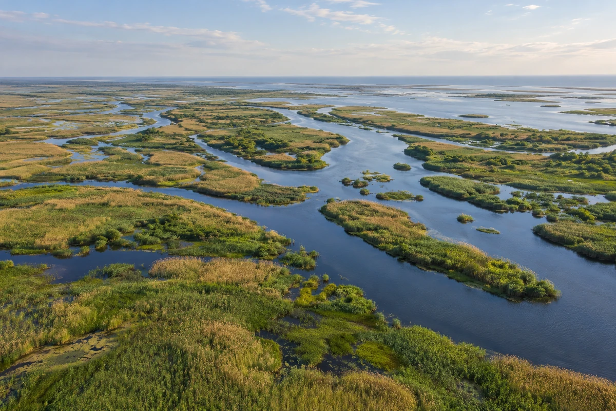 Водные протоки и тростниковые заросли дельты Волги